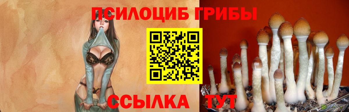Галлюциногенные грибы GOLDEN TEACHER Ялуторовск